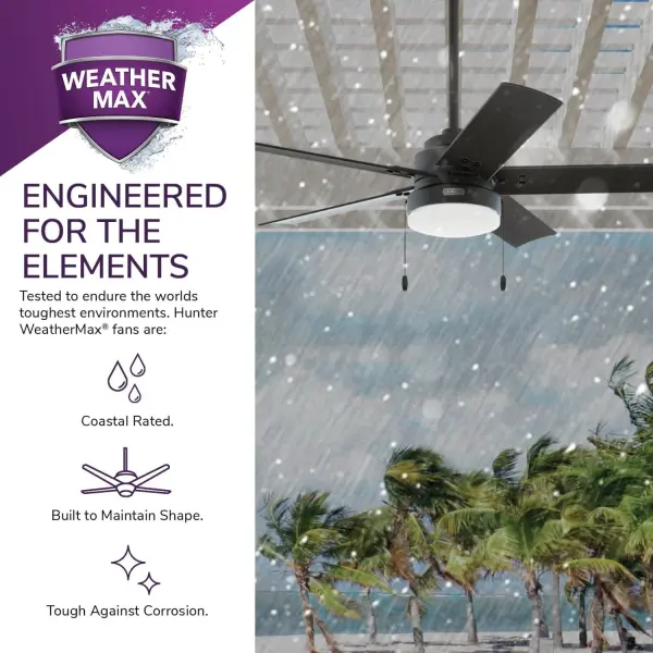 The Ceiling Fans by Hunter - Image 33
