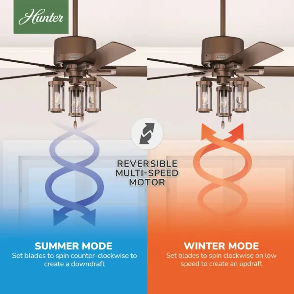 The Ceiling Fans by Hunter - Image 12