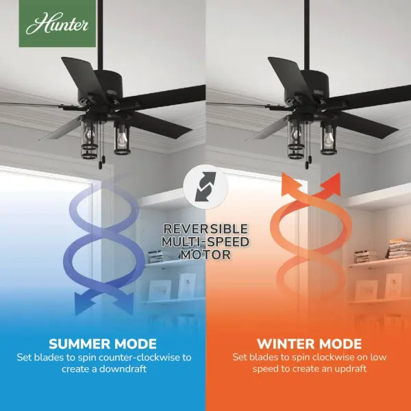 The Ceiling Fans by Hunter - Image 13