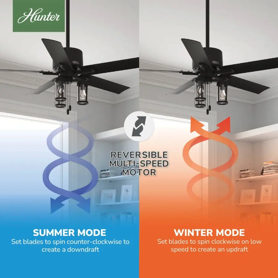 The Ceiling Fans by Hunter - Image 13