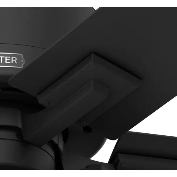 The Ceiling Fans by Hunter - Image 21