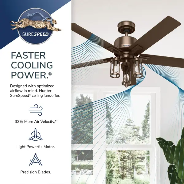 The Ceiling Fans by Hunter - Image 31