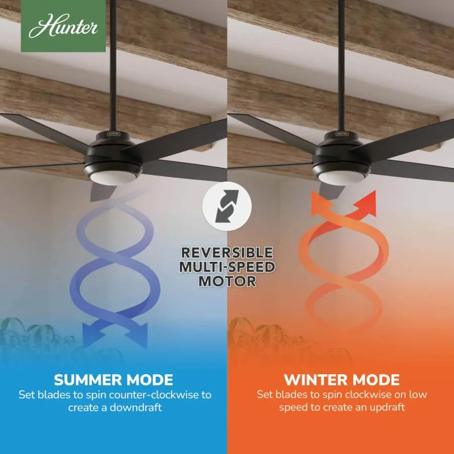 The Ceiling Fans by Hunter - Image 17