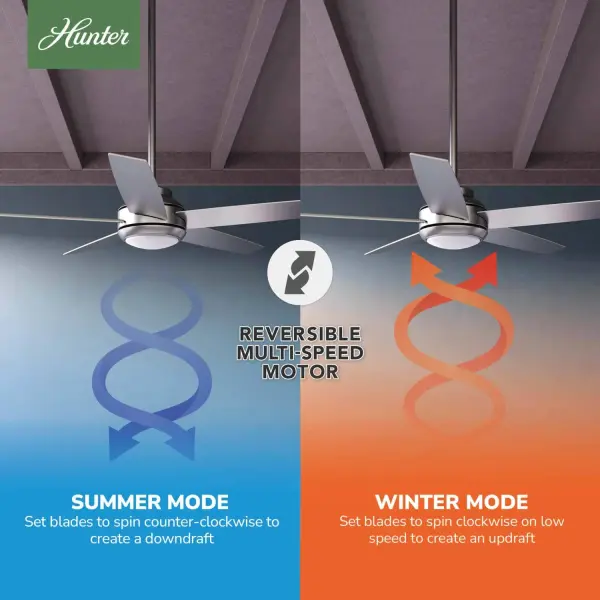 The Ceiling Fans by Hunter - Image 18