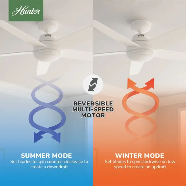 The Ceiling Fans by Hunter - Image 19