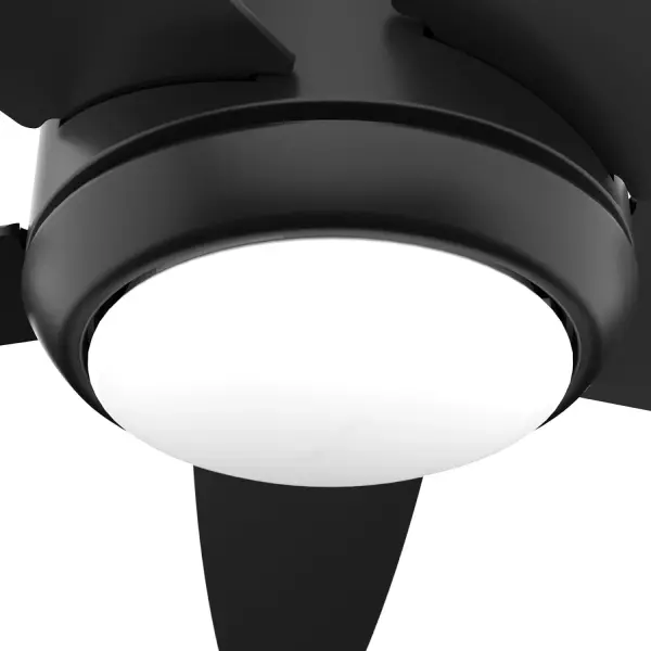 The Ceiling Fans by Hunter - Image 29