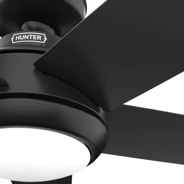 The Ceiling Fans by Hunter - Image 32