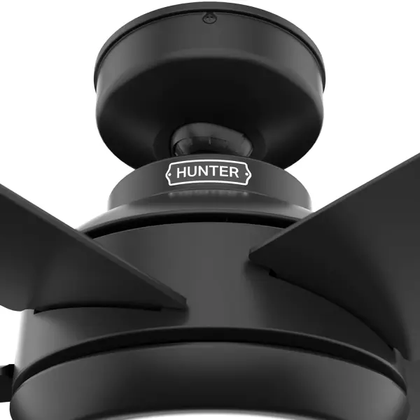 The Ceiling Fans by Hunter - Image 35
