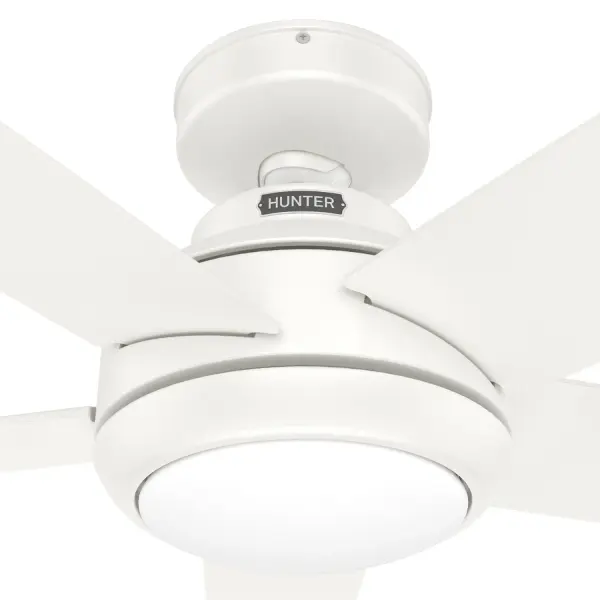 The Ceiling Fans by Hunter - Image 40