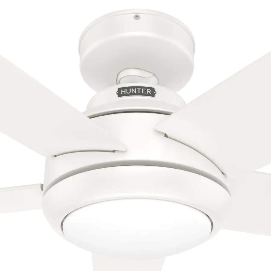 The Ceiling Fans by Hunter - Image 40