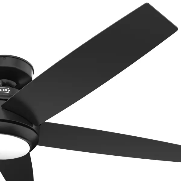 The Ceiling Fans by Hunter - Image 41