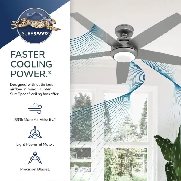 The Ceiling Fans by Hunter - Image 49