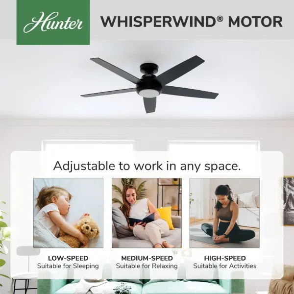 The Ceiling Fans by Hunter - Image 50