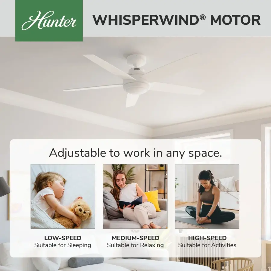 The Ceiling Fans by Hunter - Image 52