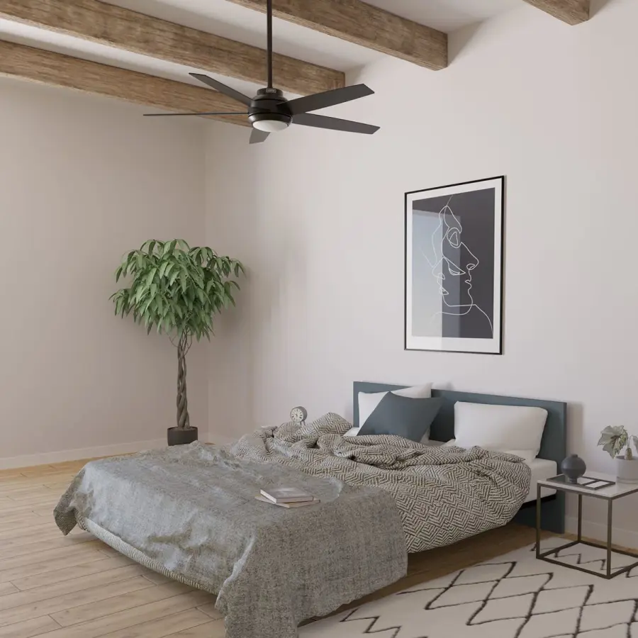 The Ceiling Fans by Hunter - Image 7