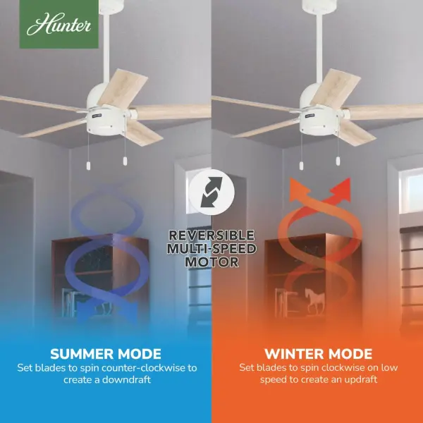 The Ceiling Fans by Hunter - Image 12