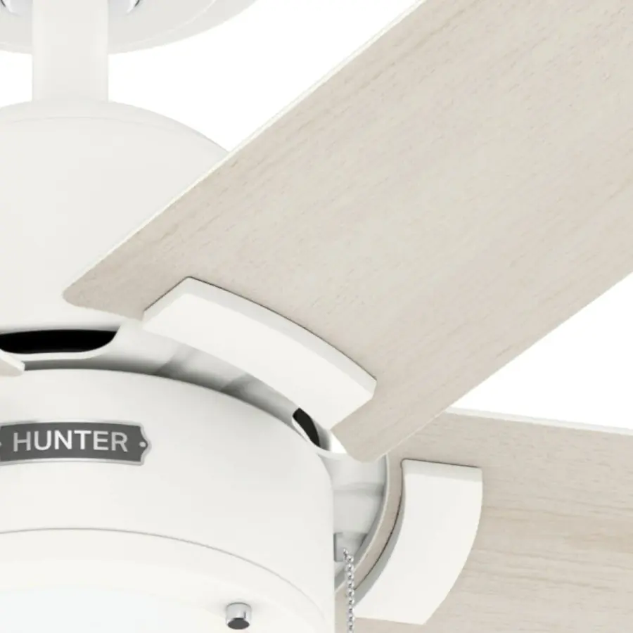 The Ceiling Fans by Hunter - Image 18