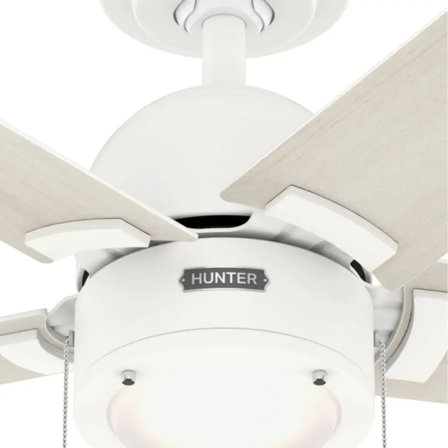 The Ceiling Fans by Hunter - Image 20
