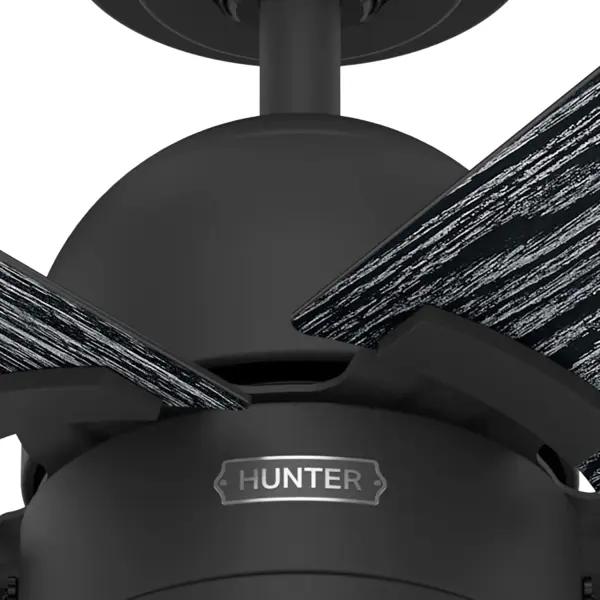 The Ceiling Fans by Hunter - Image 21