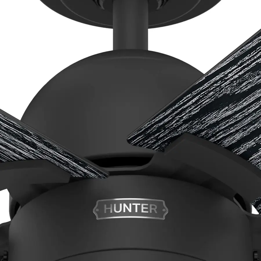 The Ceiling Fans by Hunter - Image 21