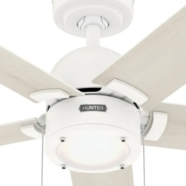 The Ceiling Fans by Hunter - Image 24