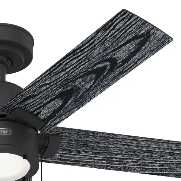 The Ceiling Fans by Hunter - Image 25