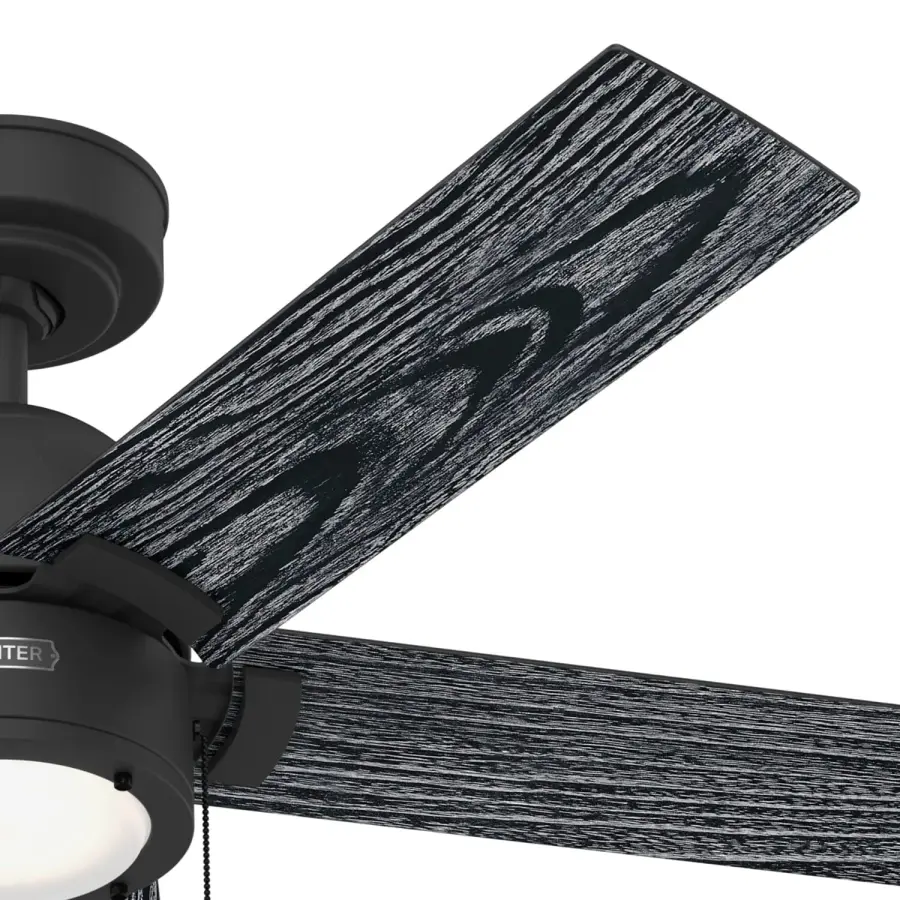 The Ceiling Fans by Hunter - Image 25