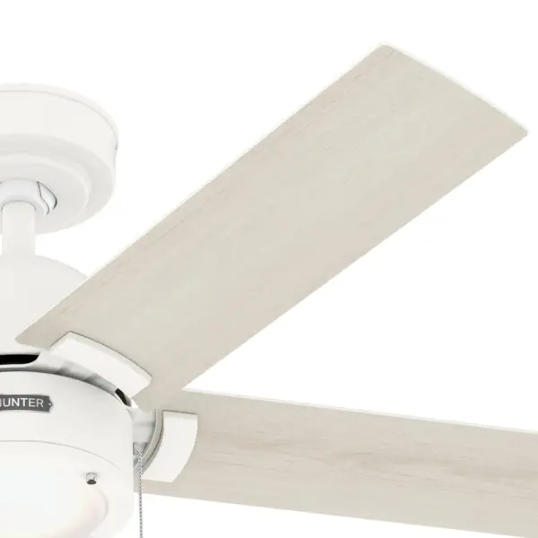 The Ceiling Fans by Hunter - Image 26