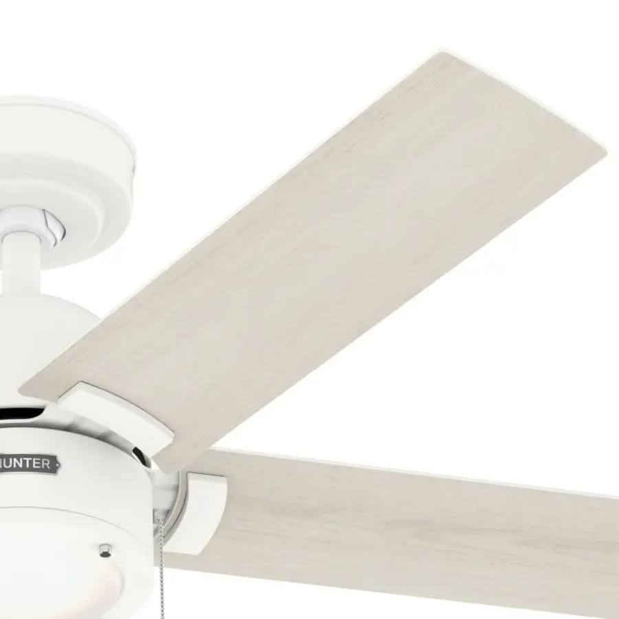 The Ceiling Fans by Hunter - Image 26