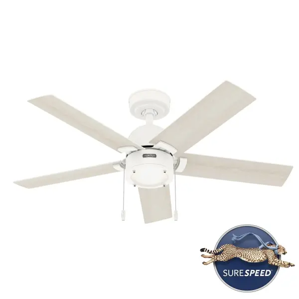 The Ceiling Fans by Hunter - Image 28
