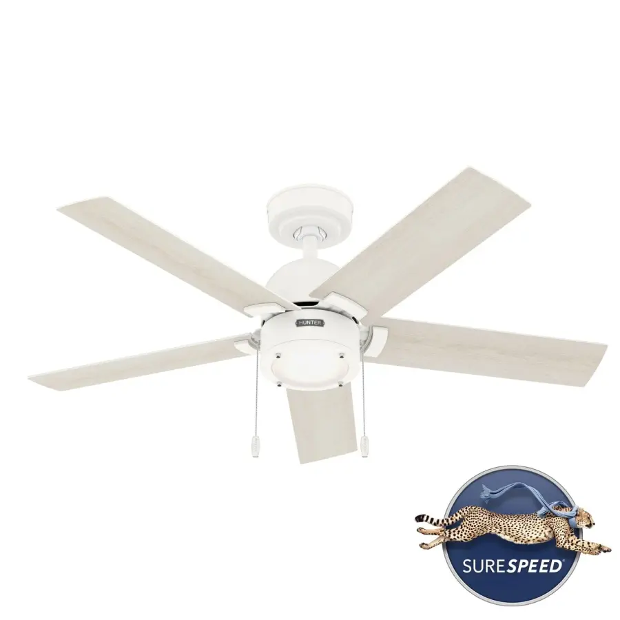 The Ceiling Fans by Hunter - Image 28
