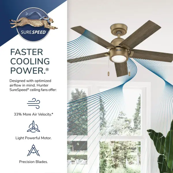 The Ceiling Fans by Hunter - Image 30