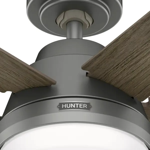 The Ceiling Fans by Hunter - Image 11