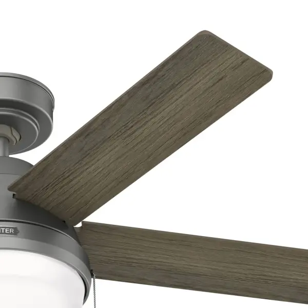 The Ceiling Fans by Hunter - Image 13
