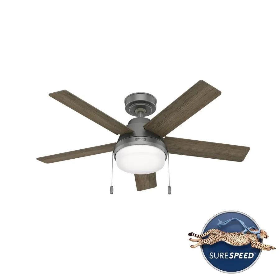 The Ceiling Fans by Hunter - Image 14