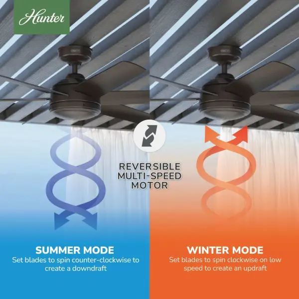 The Ceiling Fans by Hunter - Image 17