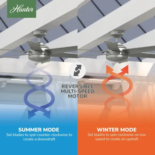 The Ceiling Fans by Hunter - Image 18