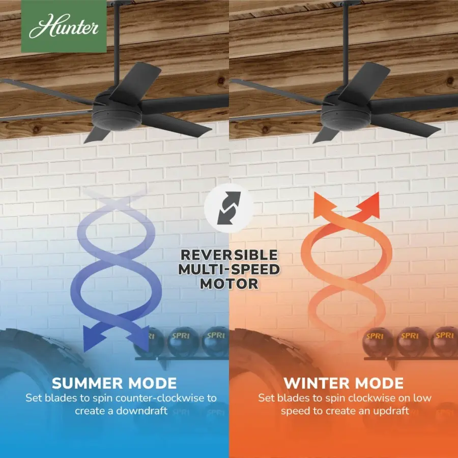 The Ceiling Fans by Hunter - Image 19