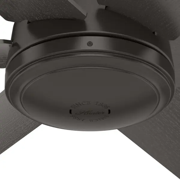 The Ceiling Fans by Hunter - Image 29
