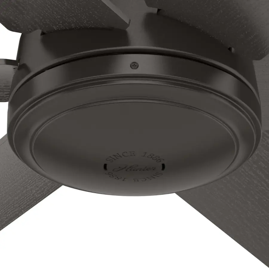 The Ceiling Fans by Hunter - Image 29