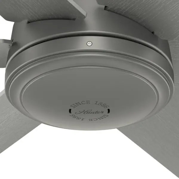 The Ceiling Fans by Hunter - Image 30