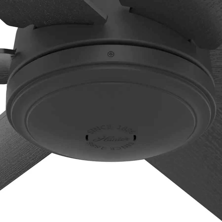 The Ceiling Fans by Hunter - Image 31