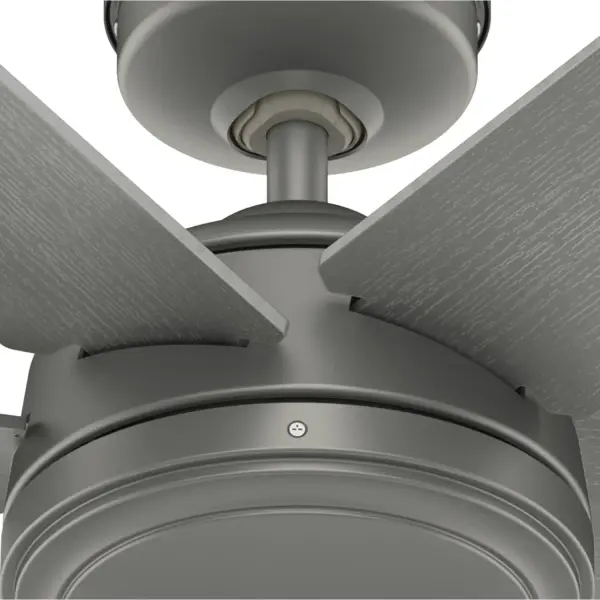 The Ceiling Fans by Hunter - Image 36