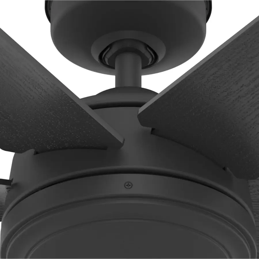 The Ceiling Fans by Hunter - Image 37