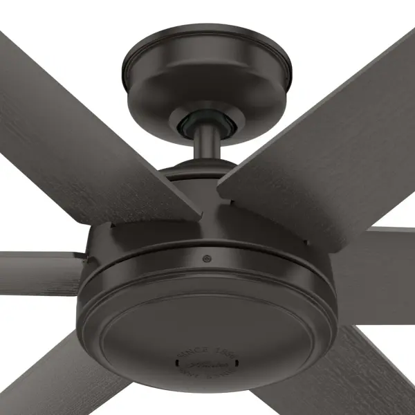 The Ceiling Fans by Hunter - Image 38