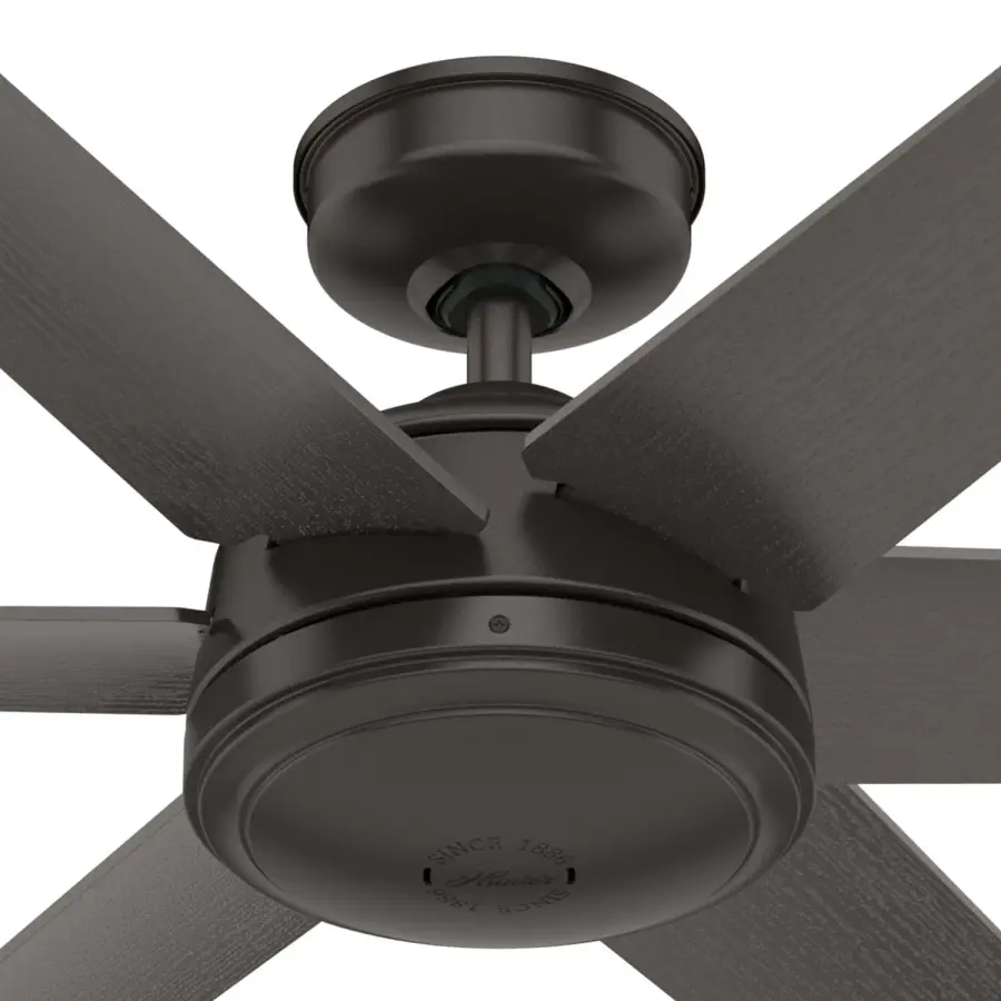 The Ceiling Fans by Hunter - Image 38