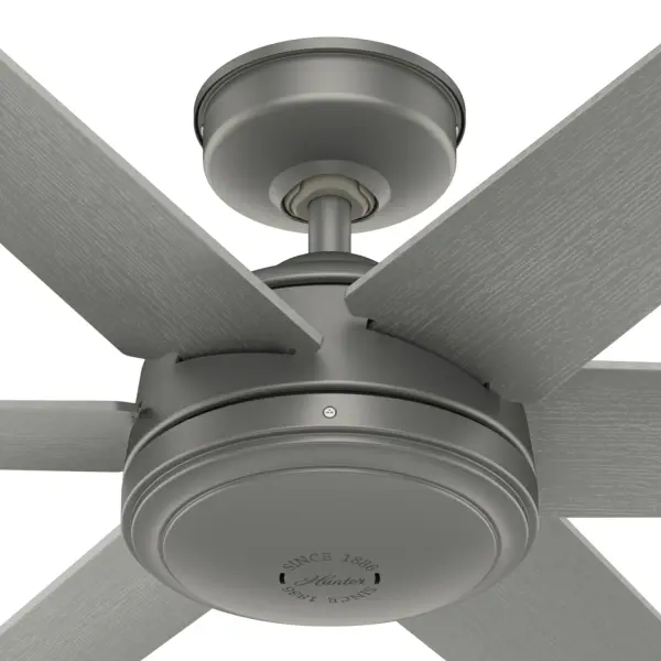 The Ceiling Fans by Hunter - Image 39