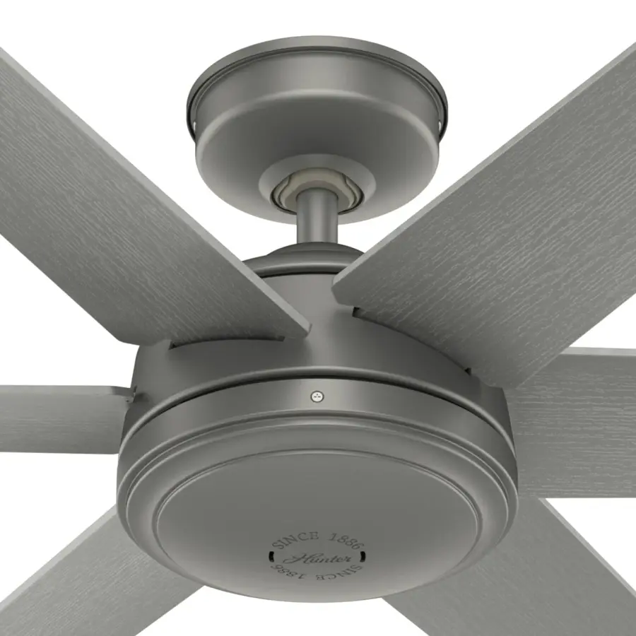 The Ceiling Fans by Hunter - Image 39
