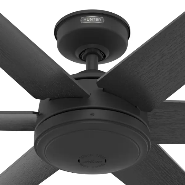 The Ceiling Fans by Hunter - Image 40