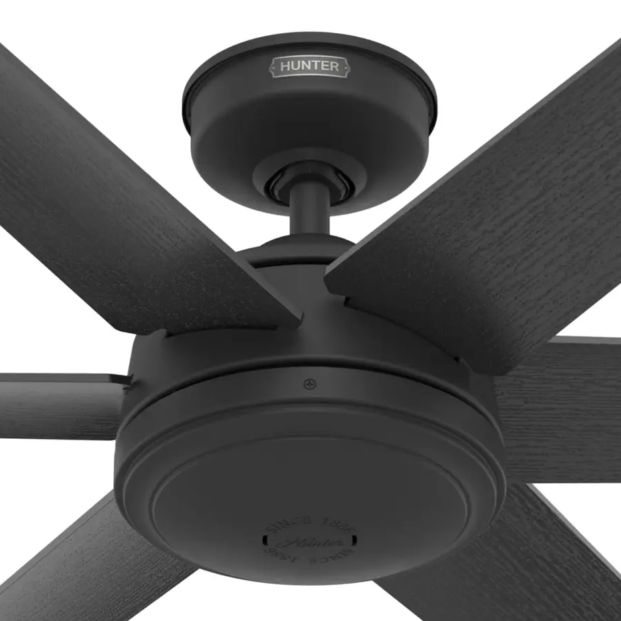 The Ceiling Fans by Hunter - Image 40